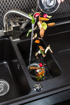 Garbage Disposal Cleaning